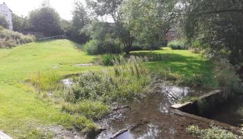 Britvic and The Rivers Trust strengthen water stewardship partnership with two wetland restoration projects in Great Britain